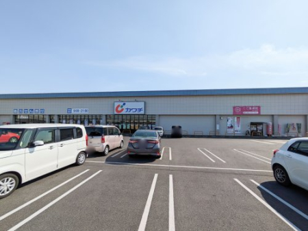 ���ӊ� �y�h���b�O�X�g�A�z�J���`��ǐj���J�X�܂�3167��