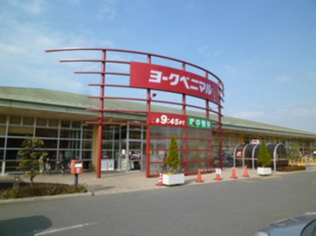 ���ӊ� �y�X�[�p�[�z���[�N�x�j�}���򂪋u�X�܂�1347��