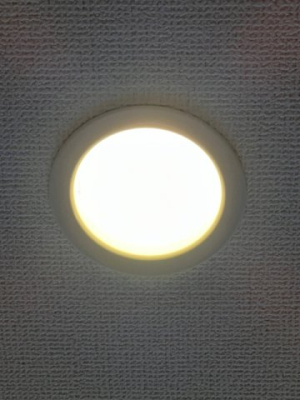 その他 LED照明（写真は同仕様写真）