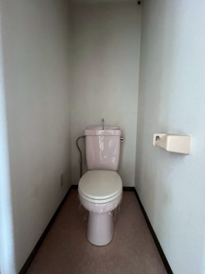gC -