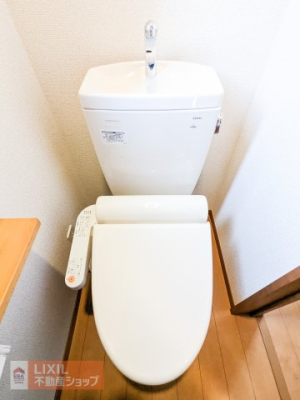 gC -