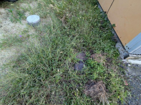 ̑ ㉺ݍρBo20o[^[13o