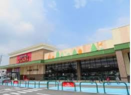 ӊ yX[p[zt[hIAVXI[^jX܂1695