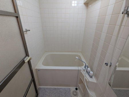 ���� ����ɂ����^�C���ǂ̃o�X���[���ł���