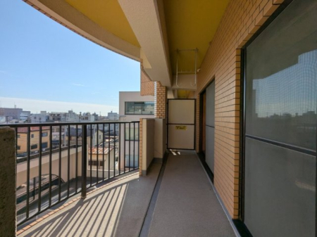 �o���R�j�[ ��Ƃ�̂���L���o���R�j�[�ł��� ���z�c��V�[�c���̑傫�Ȑ��󕨂��X�g���X�Ȃ������܂��I