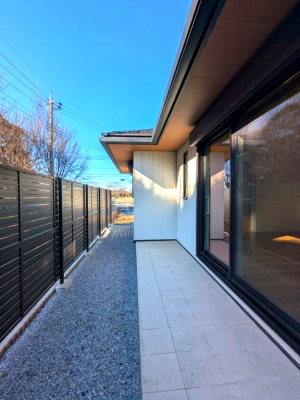 ���̑� ��