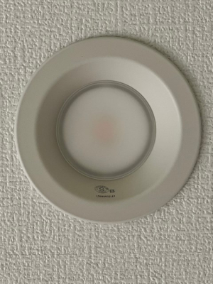 ���̑� �_�E�����C�g�@�V��Ɩ��i�ʐ^�͓��d�l�ʐ^�j