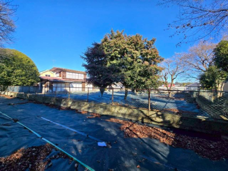 ���n�y�n�ʐ^ -