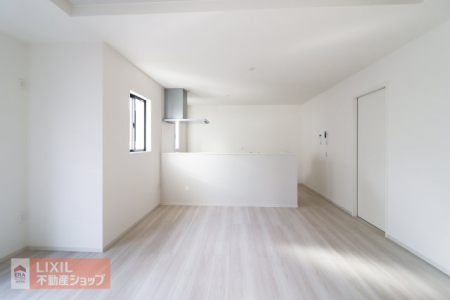  ���n�����ʐ^