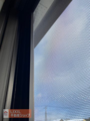 ���̑� �Ԍˁi�ʐ^�͓��d�l�ʐ^�j