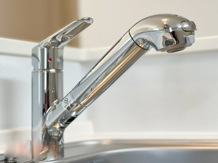 ���̑� �򐅊�t���V�����[�����i�ʐ^�͓��d�l�ʐ^�j