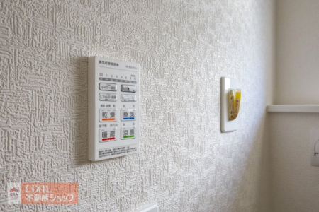 ���̑����� ���n�����ʐ^