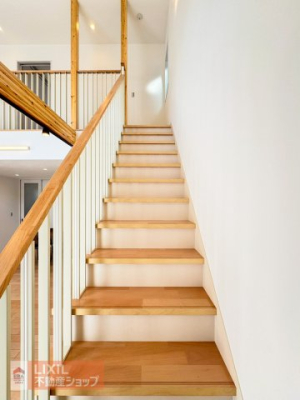 ���̑����� -