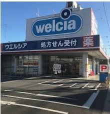 ���ӊ� �y�h���b�O�X�g�A�z�E�F���V�A�@���R�V�_�X�܂�961��