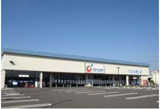 ���ӊ� �y�h���b�O�X�g�A�z�J���`��i ��������̂܂����X�܂�6341��