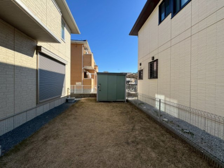 ���̑� ��