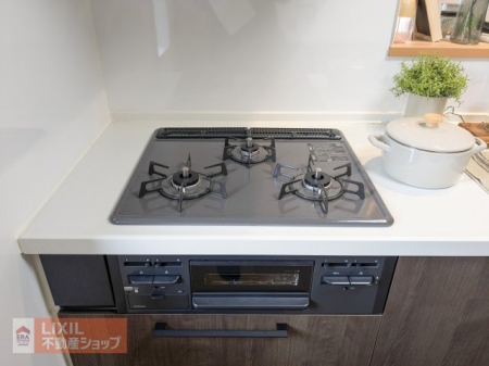 ���̑����� �y�R�����z���n�����ʐ^�B