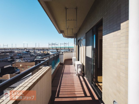 �o���R�j�[ ��������ǍD�@�i�FGOOD