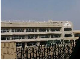 ���ӊ� �y���w�Z�z���R�s�����R��񒆊w�Z�܂�832��