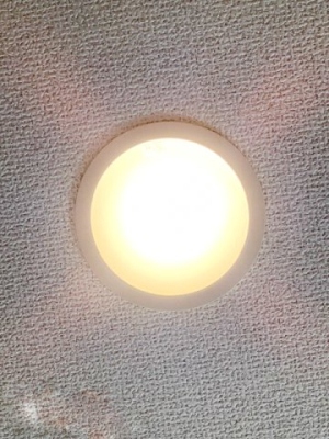 ���̑� �_�E�����C�g�i�ʐ^�͓��d�l�ʐ^�j