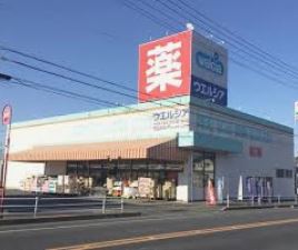 ���ӊ� �y�h���b�O�X�g�A�z�E�G���V�A���R�ԁX�c�X�܂�1456��