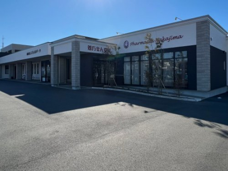 ���ӊ� �y���ȁz���ȃ��f�B�J���p�[�N�܂�10863��