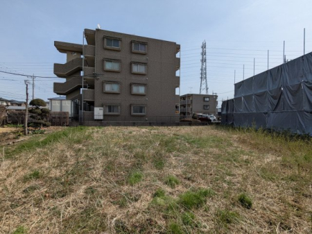 ���n�y�n�ʐ^ -