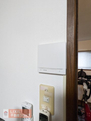 ���̑� ���g�[�S��������