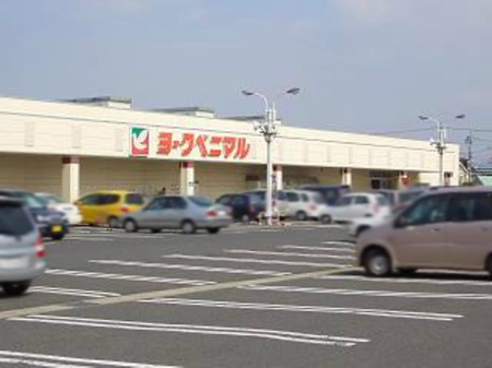 ���ӊ� �y�X�[�p�[�z���[�N�x�j�}�� �ᏼ���X�܂�1247��