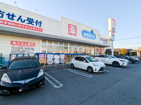 ���ӊ� �y�h���b�O�X�g�A�z�E�G���V�A��ǉF�s�{�����{���X�܂�1374��