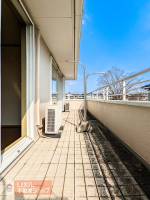 �o���R�j�[ �z������̗ǂ��L�X�Ƃ����o���R�j�[�� ���Ƒ��S���̐��󕨂͂������A���z�c���̑傫�����̂��������花�����Ƃ��ł��܂��I