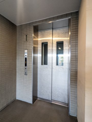 ���̑� ���̑�