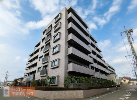 ���n�O�ώʐ^ �쐼�����猩���O�ςł��I