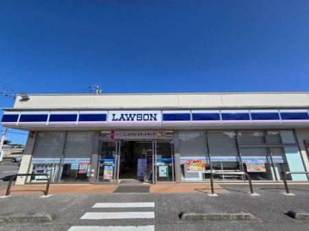 ���ӊ� �y�R���r�j�G���X�X�g�A�z���[�\�� �F�s�{�����{���܂�591��