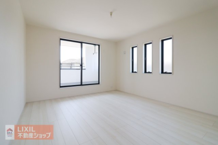 �Q�� �y�Q���z���n�����ʐ^�B���邢�̌��̓����Q���ł��B