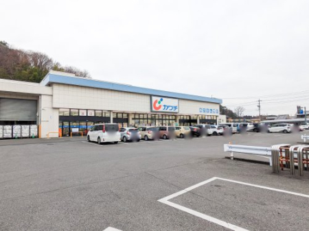 ���ӊ� �y�h���b�O�X�g�A�z�J���`��i �O�̑�X�܂�612��