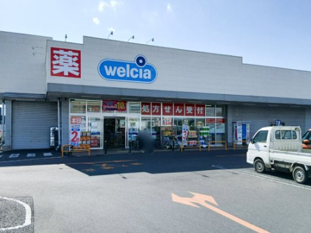 ���ӊ� �y�h���b�O�X�g�A�z�E�G���V�A ���R�H��X�܂�1478��